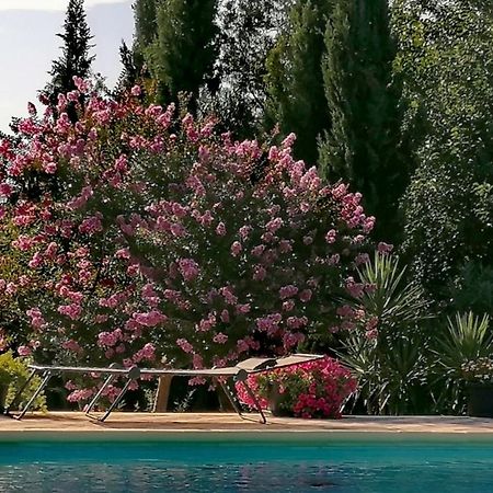 Villa Isabelle Barraca de Aguas Vivas Ngoại thất bức ảnh