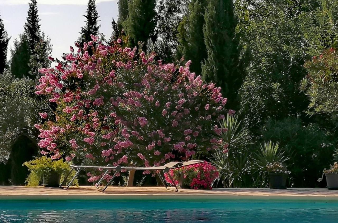 Villa Isabelle Barraca de Aguas Vivas Ngoại thất bức ảnh